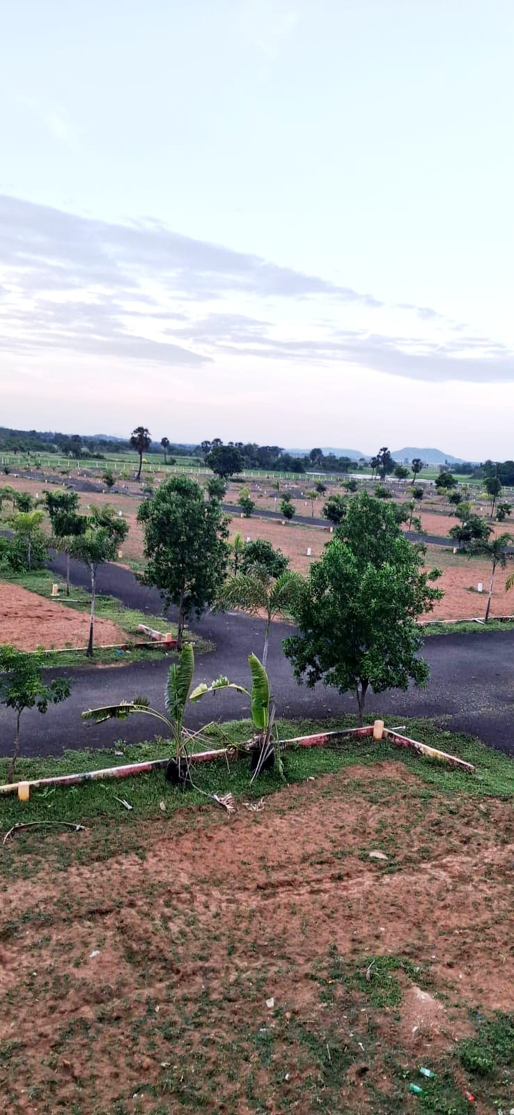 Yogalakshmi Nagar plots and internal road viewed from the site